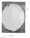 Fig. 02 - Wall Art Apparatus and Method of Installation