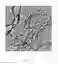 Fig. 08 - Nano-materials