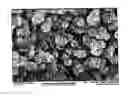 Fig. 01 - Breathable Membranes and Method for Making Same