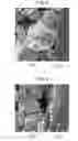 Fig. 08 - Active material, battery, and method for manufacturing electrode