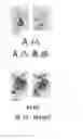 Fig. 04 - DIDACTIC TOOLS FOR LEARNING MATHEMATICS