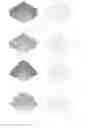 Fig. 08 - DIDACTIC TOOLS FOR LEARNING MATHEMATICS
