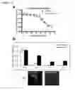 Fig. 04 - Detection of sub-cellular compartment localization of a molecule using a reduced affinity enzyme complementation reporter system