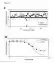 Fig. 07 - Detection of sub-cellular compartment localization of a molecule using a reduced affinity enzyme complementation reporter system