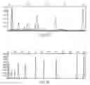 Fig. 10 - Methods of producing and sequencing modified polynucleotides