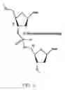 Fig. 11 - Methods of producing and sequencing modified polynucleotides