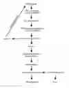 Fig. 01 - SELECTING NUCLEIC ACID SAMPLES SUITABLE FOR GENOTYPING