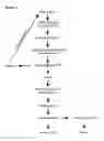 Fig. 08 - SELECTING NUCLEIC ACID SAMPLES SUITABLE FOR GENOTYPING