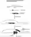 Fig. 01 - Methods for nucleic acid manipulation