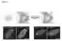 Fig. 06 - FLUORESCENT TWO-HYBRID (F2H) ASSAY FOR DIRECT VISUALIZATION OF PROTEIN INTERACTIONS IN LIVING CELLS