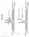 Fig. 07 - T-structure invasive cleavage assays, consistent nucleic acid dispensing, and low level target nucleic acid detection