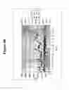 Fig. 10 - T-structure invasive cleavage assays, consistent nucleic acid dispensing, and low level target nucleic acid detection