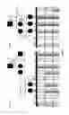 Fig. 05 - Method for diagnosing renal diseases or predispositions