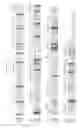 Fig. 04 - Aromatic prenyltransferases, nucleic acids encoding same and uses therefor