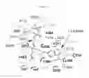 Fig. 10 - Aromatic prenyltransferases, nucleic acids encoding same and uses therefor