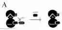 Fig. 01 - FRET-based binding assay