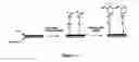 Fig. 02 - FUNCTIONALIZED BIOCHIPS FOR SPR-MS COUPLING