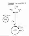 Fig. 01 - Aminotransferase, gene encoding the same, and method of using them