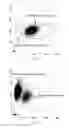 Fig. 02 - Reticulocyte mimetics and method of preparation of the same
