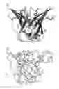 Fig. 01 - Anticalins