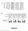 Fig. 07 - COMPOUNDS AND METHODS FOR INHIBITING PLATELET AGGREGATION