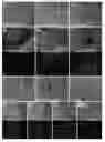Fig. 01 - Generation of pluripotent cells from fibroblasts