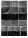 Fig. 02 - Generation of pluripotent cells from fibroblasts