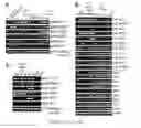 Fig. 03 - Generation of pluripotent cells from fibroblasts