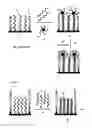 Fig. 02 - METHOD OF ELECTRICALLY DETECTING A NUCLEIC ACID MOLECULE