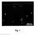 Fig. 02 - Process for Producing Finely Divided, High-Surface-Area Materials Coated with Inorganic Nanoparticles, and also Use Thereof