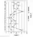 Fig. 08 - Diagnostic tool for diagnosing benign versus malignant thyroid lesions