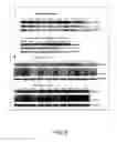 Fig. 09 - Diagnostic tool for diagnosing benign versus malignant thyroid lesions