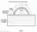 Fig. 08 - OPTICAL DISCS FOR ANALYZING BIOMOLECULES