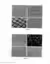 Fig. 04 - Micro-patterned plate composed of an array of releasable elements surrounded with solid or gel walls