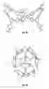 Fig. 08 - Edible and biocompatible metal-organic frameworks
