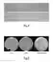 Fig. 04 - ANTI-BACTERIAL COMPOSITIONS
