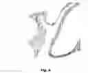 Fig. 07 - DETECTION OF TISSUE ORIGIN OF CANCER