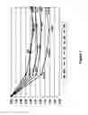 Fig. 02 - METHODS COMPRISING DESMOPRESSIN