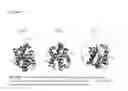 Fig. 09 - Methods and compositions for modulating BCL-2 family polypeptides