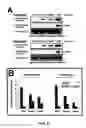 Fig. 09 - Use of opioid antagonists