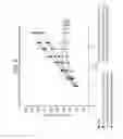 Fig. 09 - SPECIFIC BINDING AGENTS OF HUMAN ANGIOPOEITIN-2
