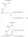 Fig. 41 - GLYCOCONJUGATION OF POLYPEPTIDES USING OLIGOSACCHARYLTRANSFERASES