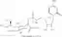 Fig. 79 - GLYCOCONJUGATION OF POLYPEPTIDES USING OLIGOSACCHARYLTRANSFERASES