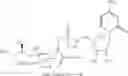 Fig. 83 - GLYCOCONJUGATION OF POLYPEPTIDES USING OLIGOSACCHARYLTRANSFERASES