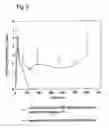 Fig. 06 - AQUEOUS COMPOSITION COMPRISING CHITOSAN AND AN ACIDIC DRUG