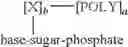 Fig. 02 - Oligomer-nucleoside phosphate conjugates