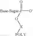 Fig. 04 - Oligomer-nucleoside phosphate conjugates