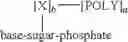 Fig. 06 - Oligomer-nucleoside phosphate conjugates