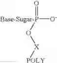Fig. 07 - Oligomer-nucleoside phosphate conjugates