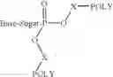 Fig. 08 - Oligomer-nucleoside phosphate conjugates